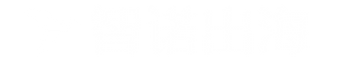 智诺出海 logo